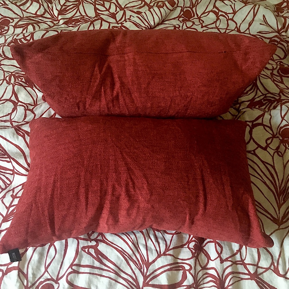 Pair of Feather Throw Pillows